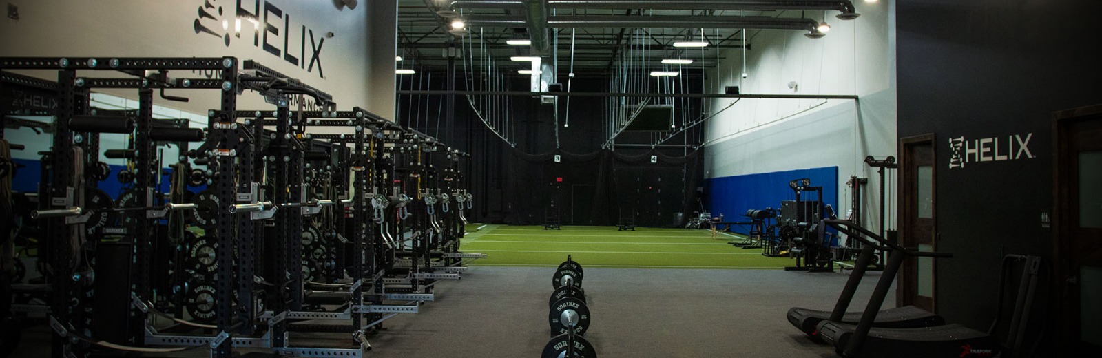 Athletic Performance Training Sports Therapy Athlete Assessments